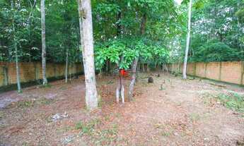 Imagem 7: Lote/Terreno para venda possui 800 metros quadrados em Ponta Negra - Manaus - AM