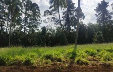 Imagem 7: Lote/Terreno para venda tem 1000 metros quadrados em Centro - Ibiúna - SP