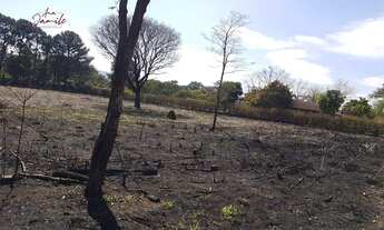 Imagem 4: Terreno espaçoso, ao lado do Parque da Grama