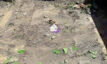 Imagem 5: Terreno, 313 m², à venda por R$ 550.000 Centro - Itanhaém/SP