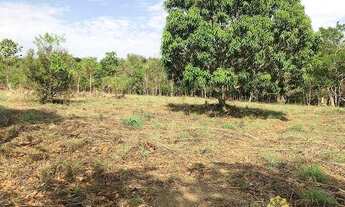 Imagem 2: Chácara com 2 dormitórios à venda, 70000 m² - Zona Rural - Palmas/TO