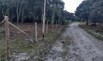 Imagem 4: Terreno para chácara