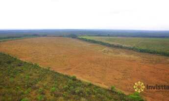 Imagem 5: Fazenda à venda 850 Ha - Presidente Kennedy/TO