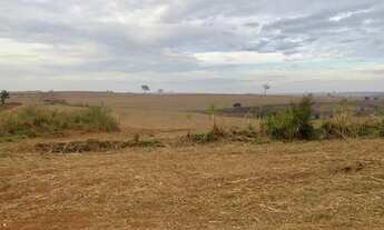 Imagem 5: Fazenda Auriflama, 53 alqueires