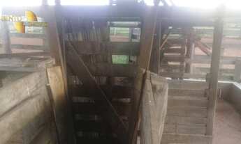 Imagem 4: Fazenda na região Santiago do Norte à venda, m² por R$ 29.999.000 - Zona Rural - Paranati