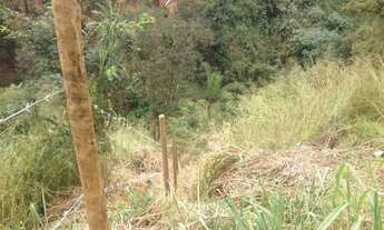 Imagem 3: Lote na Avenida principal de 222m2 no Bairro Montes Claros/Ribeiro de Abreu