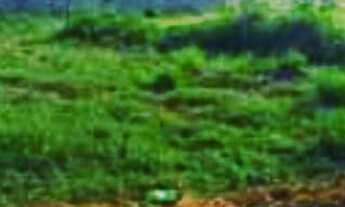 Imagem: Lote/Terreno para venda com 120 metros quadrados