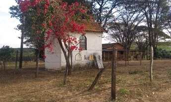 Imagem 3: Oportunidade área em Cajuru 25 alqueires, agende uma visita venha conhecer!