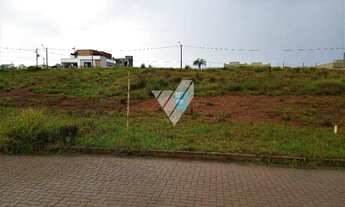 Imagem: Dom Feliciano