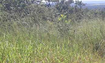 Imagem 2: FAZENDINHAS á 3 km do centro de JEQUITIBÁ, R$18.901,00 mais parcelas