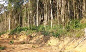 Imagem: Realize seu sonho, 1.000m2 em Ibiuna / Piedade