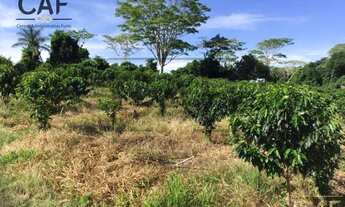 Imagem 3: Sítio Rural à venda, Jardim Santana, Espírito Santo do Pinhal - SI0139