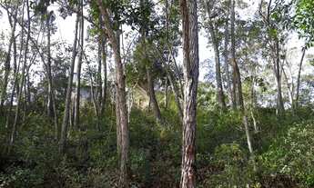 Imagem: Lote/Terreno para venda com 440 metros quadrados