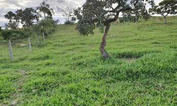 Imagem 2: Fazenda 53 alqueires