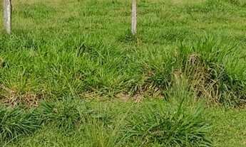 Imagem 3: Sitio 80 Alqueires Região de Cacaulândia