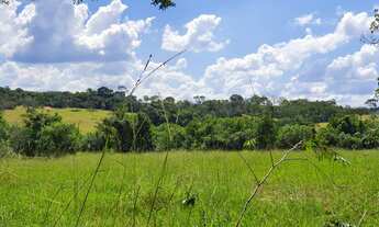 Imagem 3: Vendo Fazendinhas Financiadas. Muita Água e Terra de Plantio
