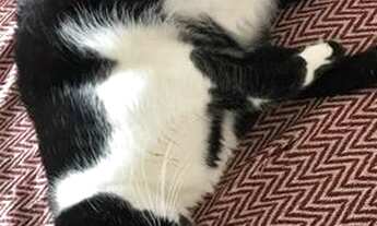 Imagem: Dividir apartamento ou casa - Cidade 2000