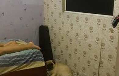 Imagem 4: Financio casa com loja Parque alian, coelho dA rocha aceito entrada + prestações