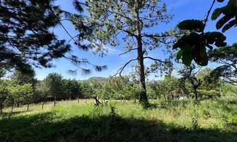 Imagem 7: Vendo um Sítio unico e exclusivo com vista panorâmica Morungava