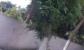 Imagem 5: Casa a venda e aluga em jiribatuba