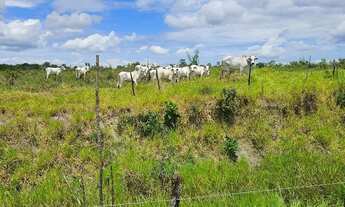 Imagem 3: Vendo sítio em Nazaré das farinha