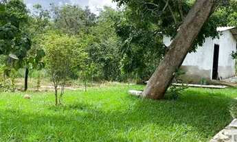 Imagem 5: Chácara Pirenópolis 8 km da cidade 450 mil