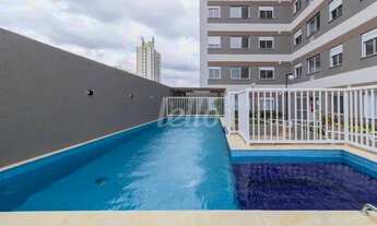 Imagem 7: São Paulo - Apartamento Padrão - Tatuapé