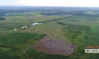 Imagem 4: Fazenda/Sítio/Chácara para venda com 1 metros quadrados em Zonal Rural - Duerê - TO