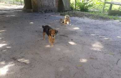 Imagem 7: Vendo ou Troco granja , sítio João pessoa ,Alhandra