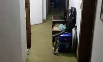 Imagem 4: Apartamento 364m - Vila Galvão - Guarulhos