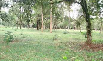 Imagem: Terreno na área rural de Antônio Olinto