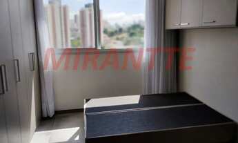 Imagem 6: Lindo apartamento em Santana