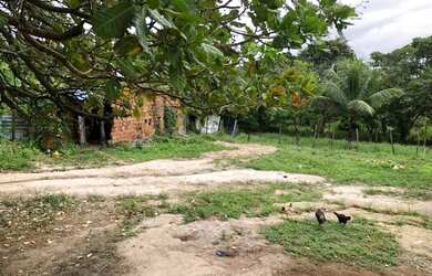 Imagem 2: ! Lote de terreno no Socorro 68026