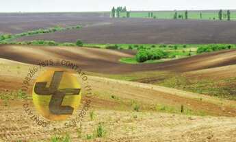 Imagem: Chácaras no interior para investimento