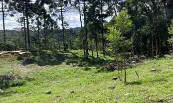 Imagem 5: Ótimas chácaras em são José dos Pinhais