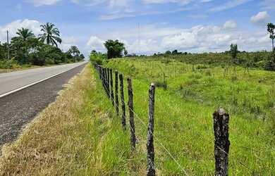 Imagem: Vendo sítio em Nazaré das farinha