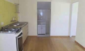 Imagem 7: Casa para venda em Vila Marieta - São Paulo - SP