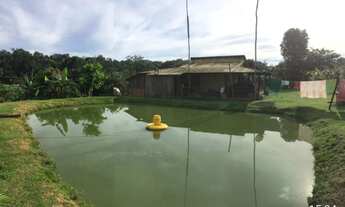 Imagem 3: Vendo Sitio na AM 010 km100