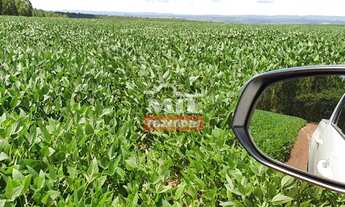 Imagem 7: Fazenda 33 alqueires (158,4 hectares) Parauna - Go