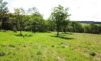 Imagem 7: Sítio à venda, 20.000m² por R$ 680.000 - Cruzeiro dos Peixotos - Uberlândia/MG