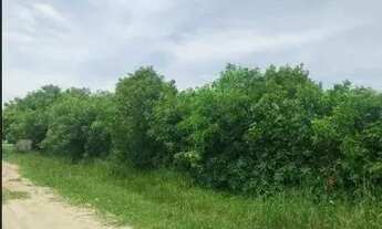 Imagem 3: Oportunidade Única em RIO GRANDE - RS | Tipo: Terreno | Negociação: Venda Online