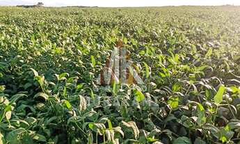 Imagem 2: ITIQUIRA - MATO GROSSO