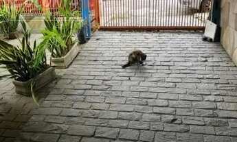 Imagem 3: Casa a venda - Vila Bastos, Santo André