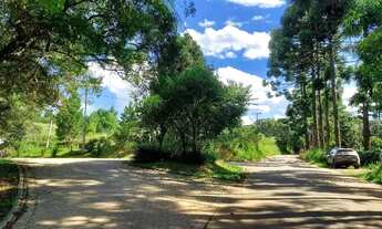 Imagem 7: Campo Largo, Ferraria, chácara 51.425m², na rotatória EcoUmbrella, acesso asfalto, esquina