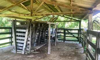 Imagem 7: Sitio 22ha Coxipó do Ouro