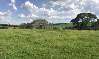 Imagem 3: Rural Sítio em São José do Rio Preto