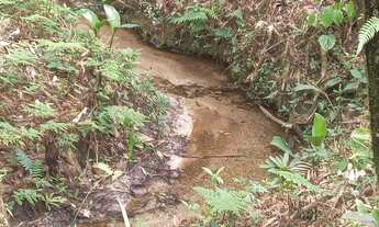 Imagem: Terrenao 4 mil mts com ribeirao 4 km da