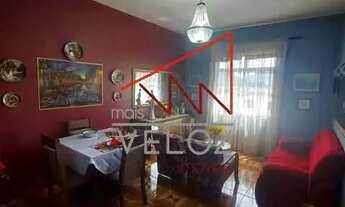 Imagem 2: Apartamento - / Residencial / Centro