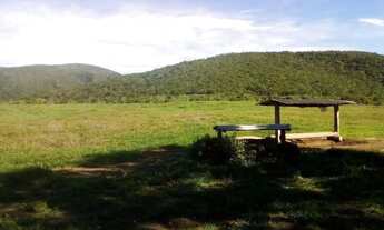 Imagem 3: Fazenda 1541 Hectares Para Pecuária Com Ótimo Acesso - Acorizal/MT