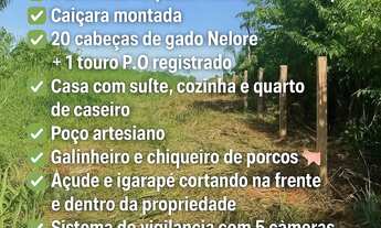 Imagem: Promoção de adquirir sua propriedade Rural